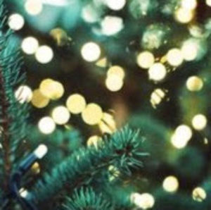 Meet your Posher, Roxie